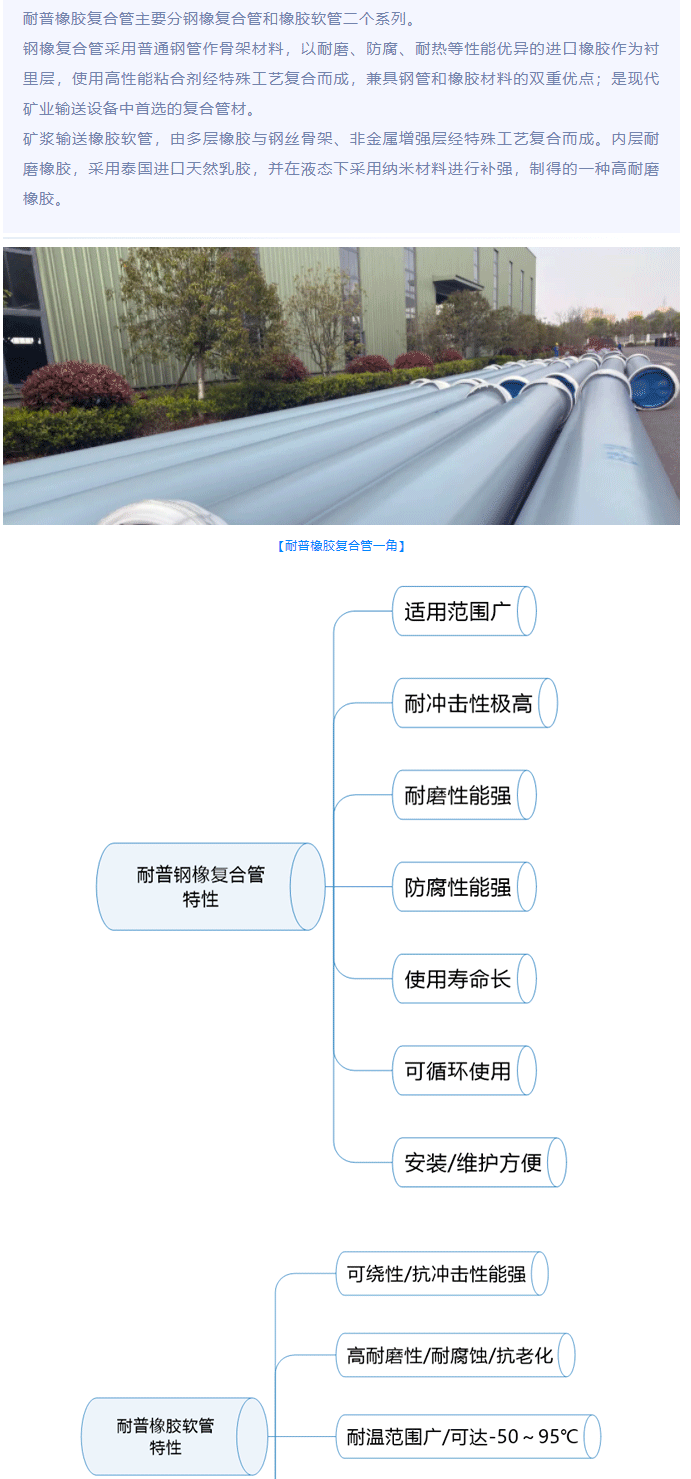 ��8-long8(����)Ψһ�ٷ���վ