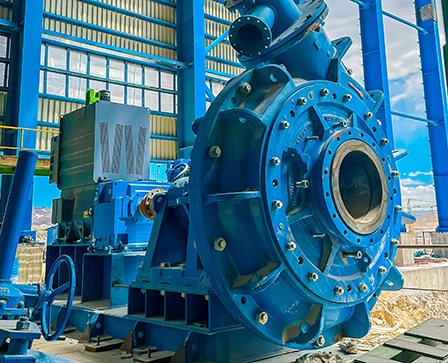 ��8-long8(����)Ψһ�ٷ���վ