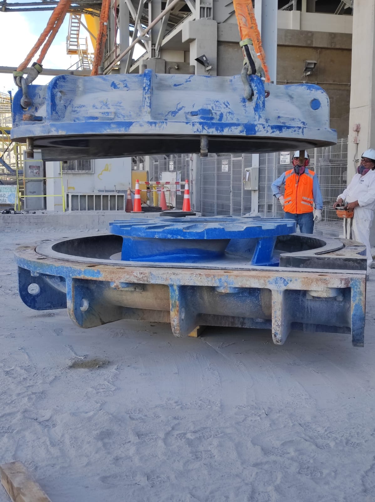 ��8-long8(����)Ψһ�ٷ���վ